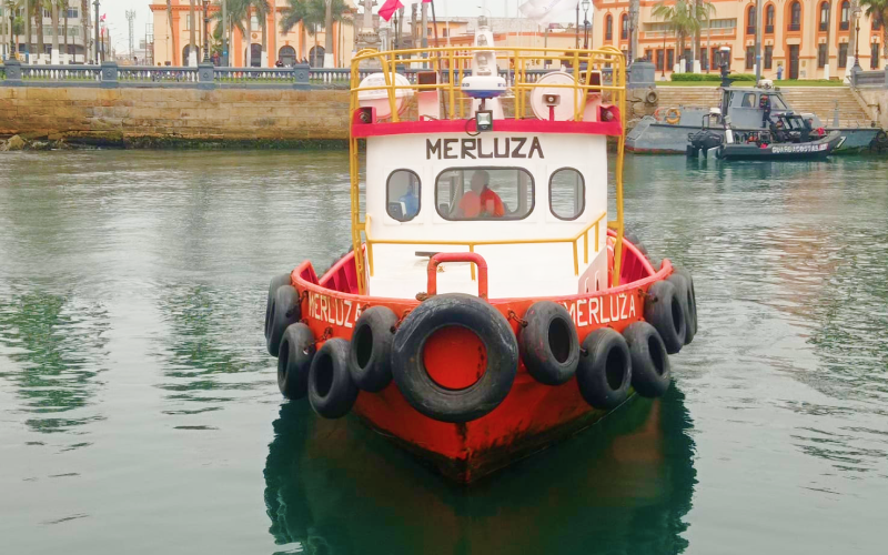 Merluza